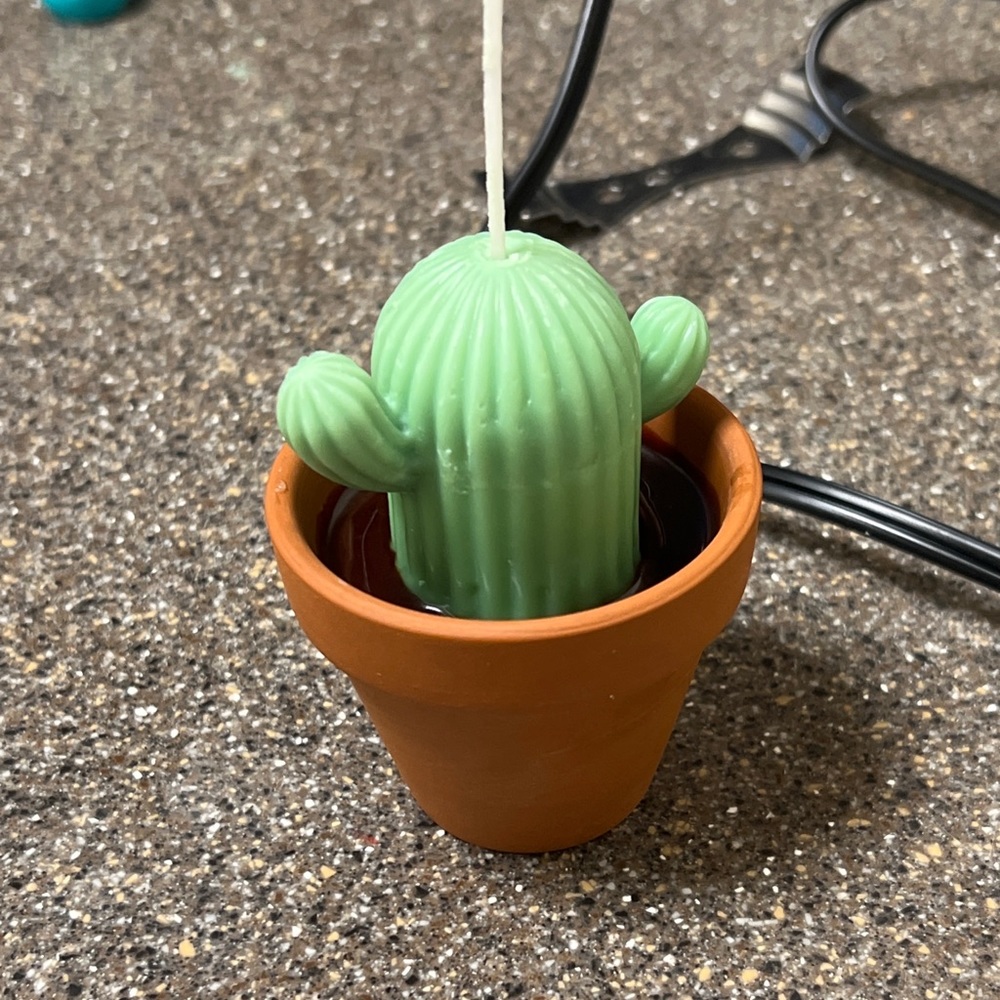 Cactus Candle with reusable planter